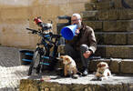 Ein bärtiger Mann mit Brille sitzt auf einer steinernenTreppe. In der Hand hält er ein blaues Plastik-Megaphon. Vor ihm liegen zwei Hunde und ein dritter Hund mit Kopftuch steht auf einem Rad neben dem Mann.