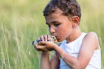 Ein Kind in einer Sommerwiese küsst einen Vogel, den es in der Hand hält.