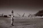 Eine Frau geht, im Hintergrund stehen Giraffen. Schwarz-Weiß.