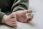 Die Füße eines Babys. An einem Fuß stecit ein Gänseblümchen zwischen den Zehen.