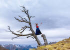 Eine Frau in Tiroler Tracht steht in einer alpinen Szene einige Meter über dem Boden mit einem Bein auf einem abgestorbenen Baum und dem anderen Bein auf einem hohen Baumstumpf.