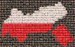 Raster aus 960 Portrait-Bildern, teils mit schwarzer Kleidung auf schwarzem Grund, roter Kleidung auf rotem Grund und weißer Kleidung auf weißem Grund. Die jeweiligen Farbei sind im Raster so angeordnet, dass eine Tirol-Karte eintsteht, bei der die obere Hälfte weiß und wie bei der Tiroler Flagge die untere Hälfte rot ist und der Hintergrund zu den Landesumrissen wird von den schwarzen Portraitbildern gebildet.