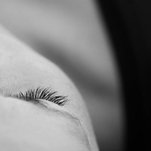 Detailaufnahme eines Augenlides mit Wimpern von oben. Schwarz-Weiß.