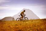 Ein Radfahrer mit Mountainbike fährt bergauf. Im Hintergrund sieht man den Grimming.