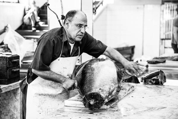 Ein Mann in weißem Arbeitsschurz schneidet in einer Fischhalle einen Thunfisch in Teile. Schwarz-Weiß.
