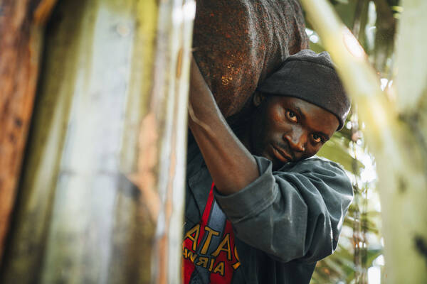 Ein dunkelhäutiger Mann trägt einen großen Sack zwischen großen Pflanzen.