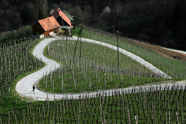 Ein Läufer auf der herzförmigen Straße in Špičnik, Slowenien, nahe der Grenze zur Steiermark. 