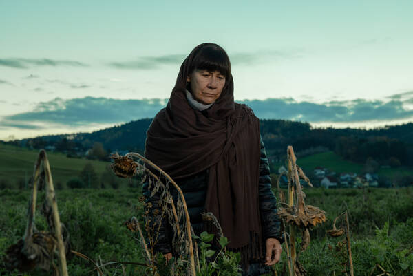Eine ältere Frau mit einem um Kopf und Schultern geschlungenen Tuch steht mit niedergeschlagenem Gesichtsausdruck zwischen verdorrten Sonnenblumen.  