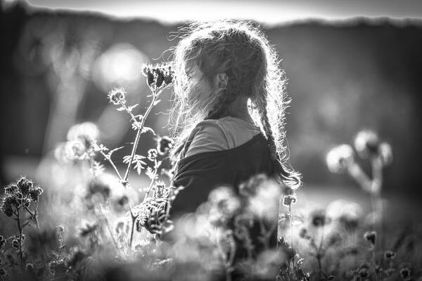 Ein Mädchen auf eine Blumenwiese in der Sonne, Schwarz-Weiß.