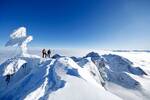 Bersteiger am winterlich verschneiten Hohen Dachstein, blauer Himmel, im Tal ein Nebelmeer
