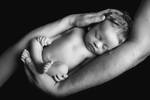 Ein unbekleidetes neugeborenes Baby wir von einer männlichen und einer weiblichen Hand umfasst. Schwarz-Weiß.