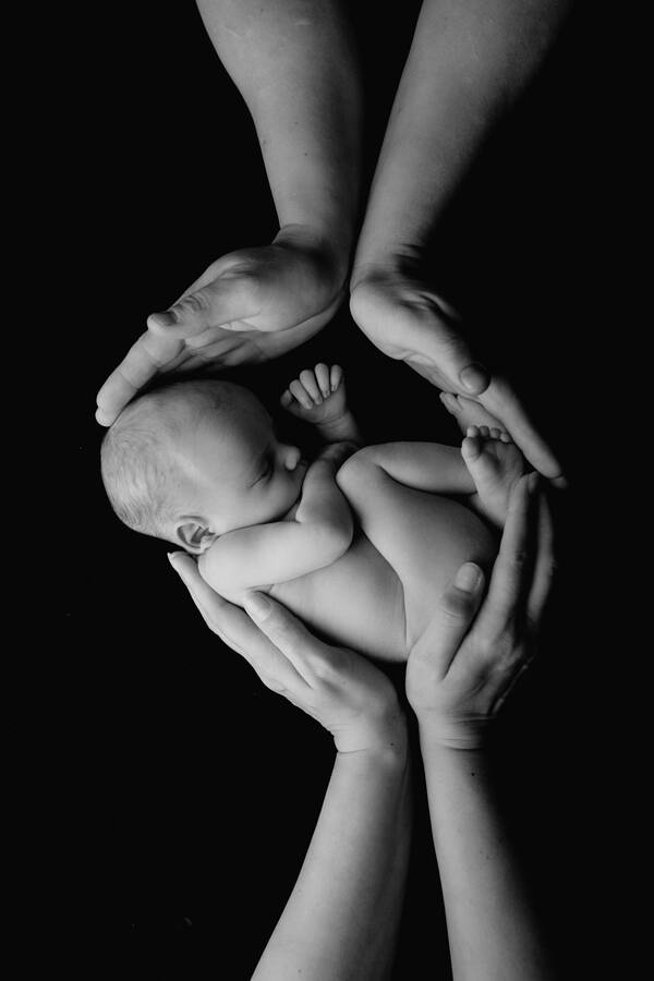 Ein Baby wird zärtlich von den Händen von Vater und Mutter umhüllt. Schwarz-Weiß.