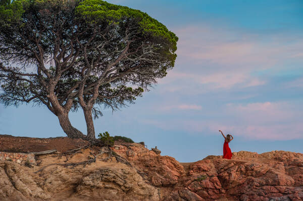 Frau in langem rotem Kleid auf Felsen im Abendlicht. Pinien.